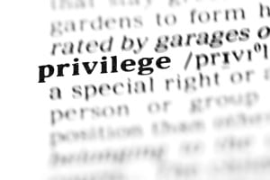 Close-up of the dictionary definition of "privilege"