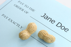 A blue check reads, "Pay to the order of: Jane Doe." Then, "Pay exactly." There, it has two peanuts.