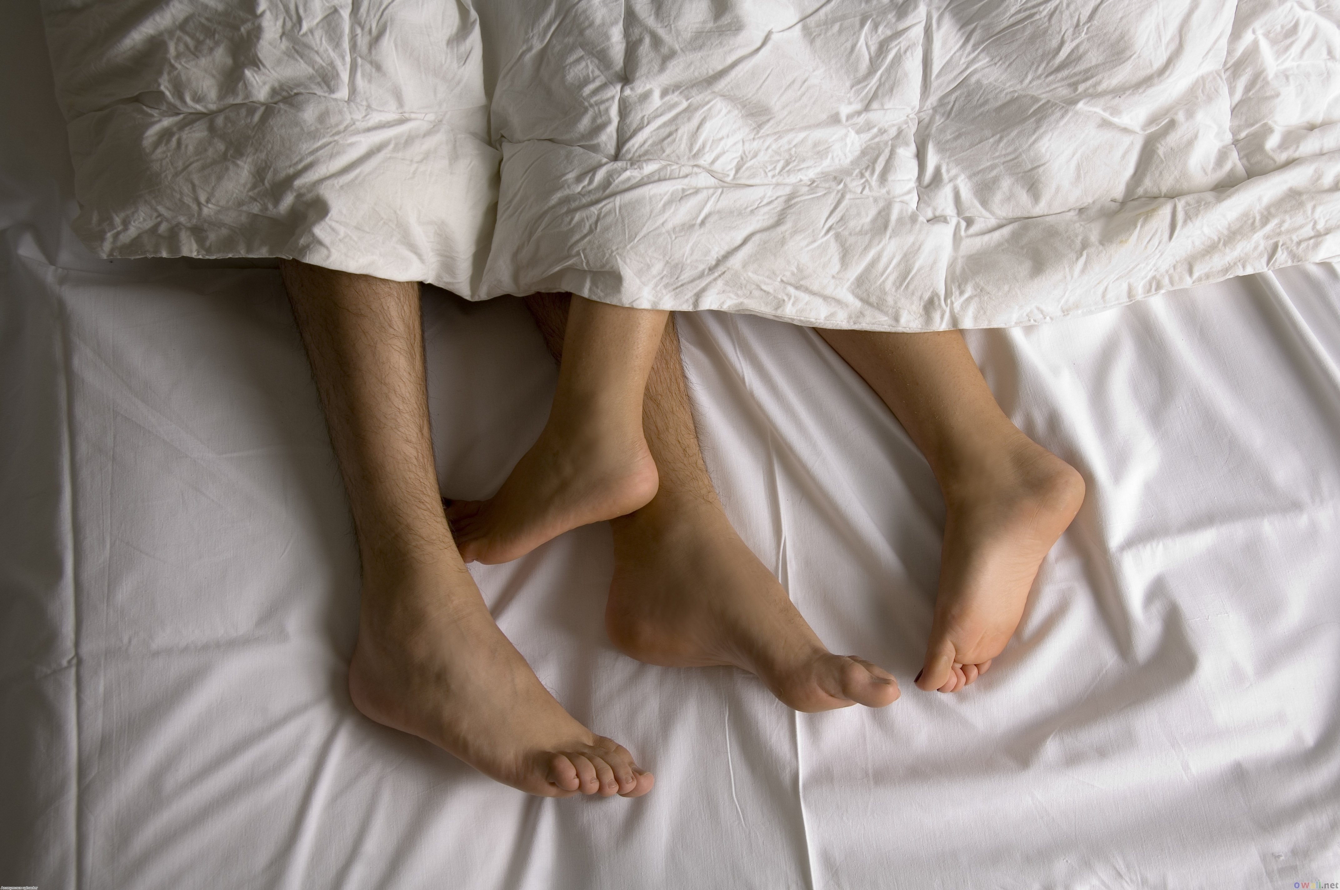 Спящие ноги жены. Ноги торчат из одеяла. Ноги под одеялом. Ножки из под одеяла. Ноги в одеяле.