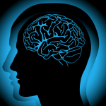 Yes, We Should Believe Survivors: A Primer on the Neurobiology of Trauma