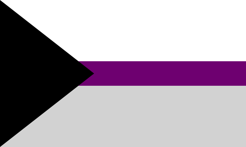 The demisexual flag: White at the top and gray at the bottom with a black triangle and purple stripe
