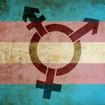 Trans flag
