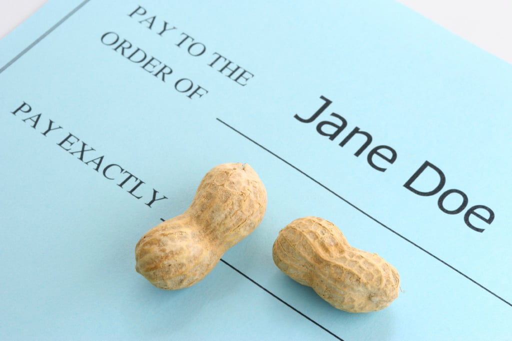 A blue check reads, "Pay to the order of: Jane Doe." Then, "Pay exactly." There, it has two peanuts.